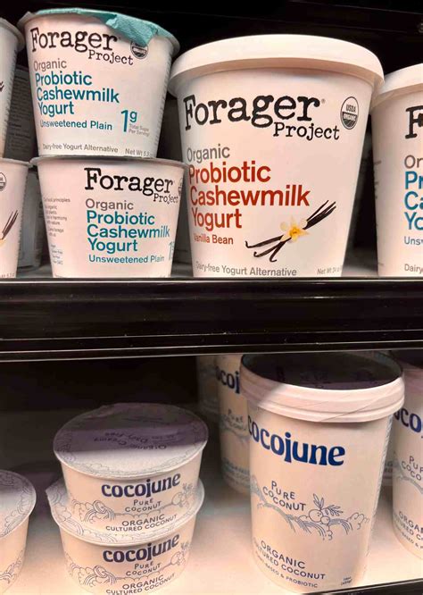 What kind of yogurt can vegans eat